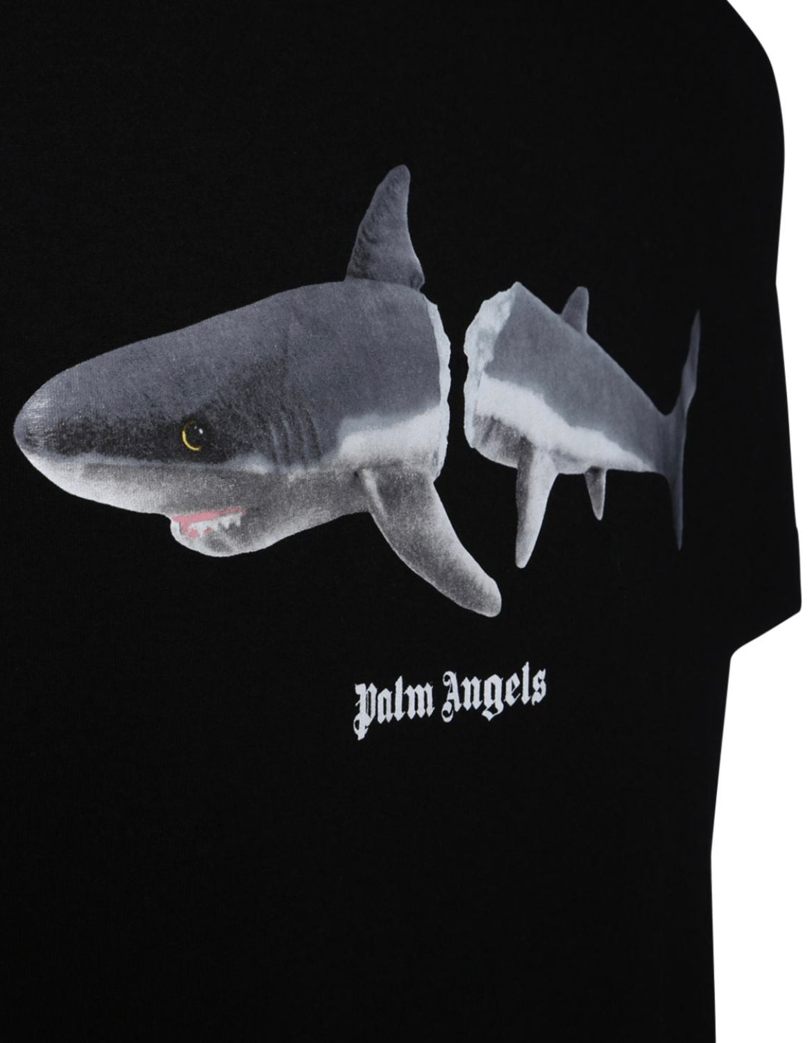 Palm Angels Shark T-shirt In Black